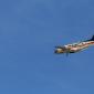 crop-img_5346__large_