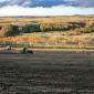 crop-img_5371__large_