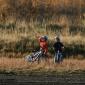 crop-img_5373__large_