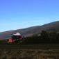 crop-img_5582__large_