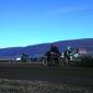 crop-img_5621__large_