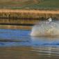 crop-img_5745__large_