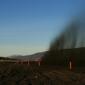 crop-img_5791__large_