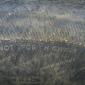 crop-img_5093__large_