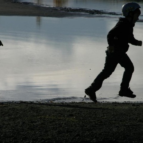 crop-img_5175__large_