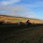 crop-img_5208__large_
