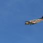 crop-img_5346__large_