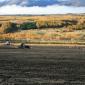 crop-img_5371__large_