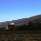 crop-img_5582__large_