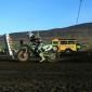 crop-img_5608__large_