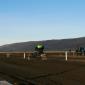 crop-img_5705__large_