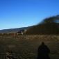 crop-img_5731__large_