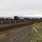 p9056070__large_