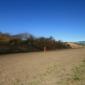 crop-img_2463__large_