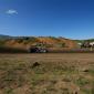 crop-img_2599__large_