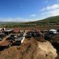 crop-img_2609__large_