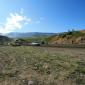 crop-img_2706__large_