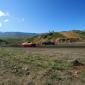 crop-img_2724__large_