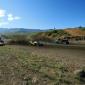 crop-img_2819__large_