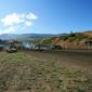crop-img_2855__large_