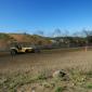 crop-img_2862__large_