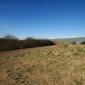 crop-img_3033__large_