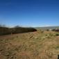 crop-img_3034__large_