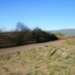 crop-img_3048__large_