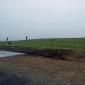 crop-20130610_213647