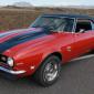 crop-camaro__10_