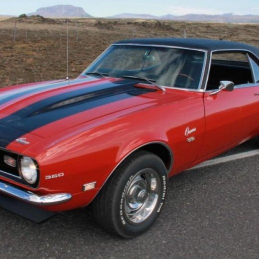 crop-camaro__10_