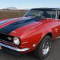 camaro_skuli