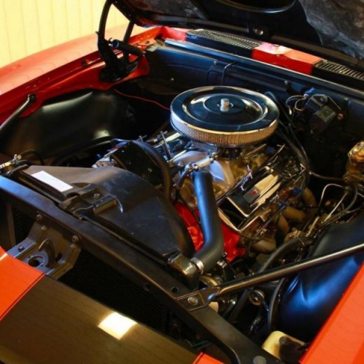 crop-camaro__8_