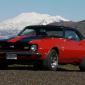 crop-camaro