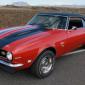 crop-camaro__10_
