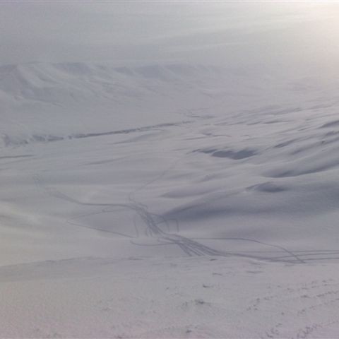 crop-20032010572