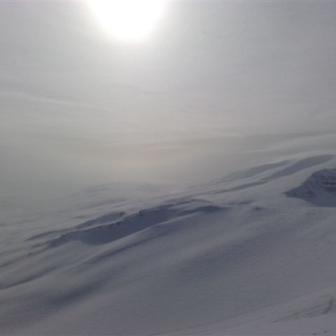 crop-20032010573