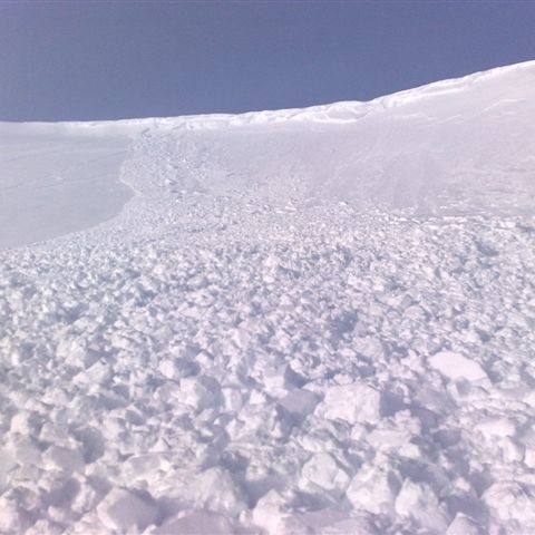 crop-20032010579