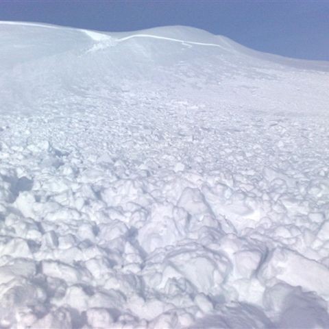 crop-20032010586