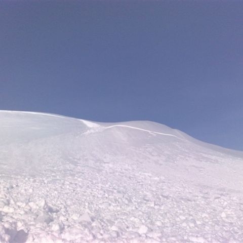 crop-20032010588
