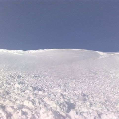 crop-20032010589