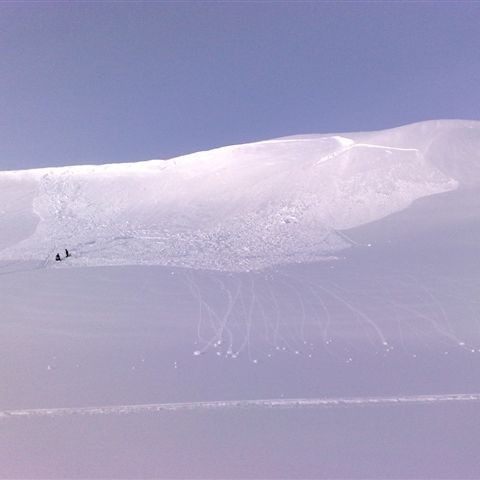 crop-20032010592