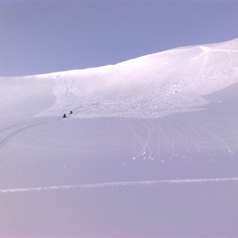 crop-20032010593