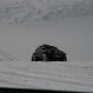 crop-img_3178