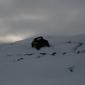 crop-img_3282