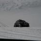 crop-img_3178