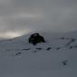 crop-img_3282