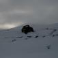crop-img_3282