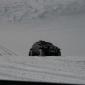 crop-img_3178