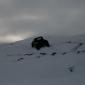 crop-img_3282